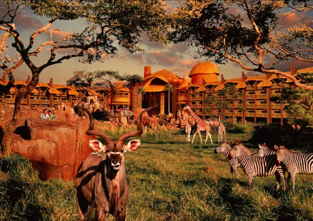 Bilder från hotellet Disney's Animal Kingdom Lodge - nummer 1 av 48