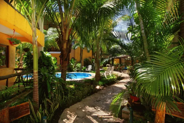 Bilder från hotellet Hotel Bosque Caribe, 5th Av Zone - nummer 1 av 67