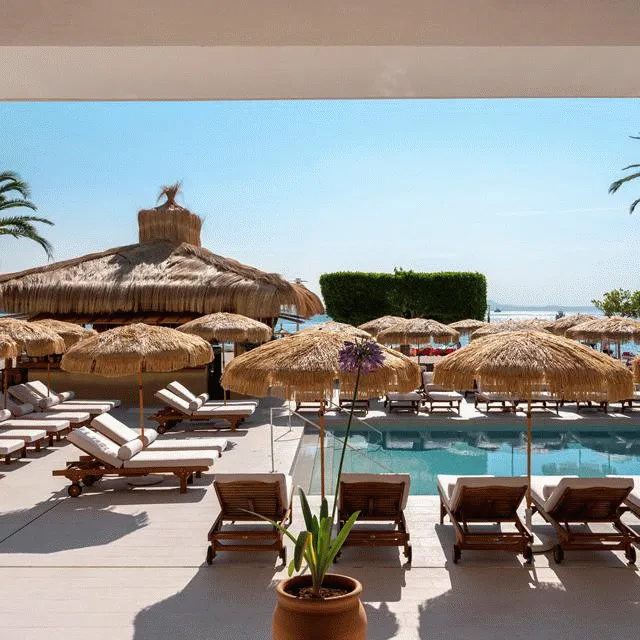 Bilder från hotellet Zel Mallorca - nummer 1 av 33