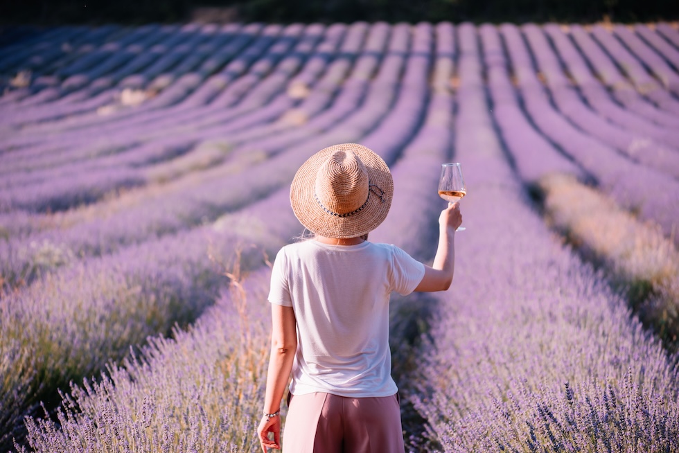 Tidlig sommer i Provence.