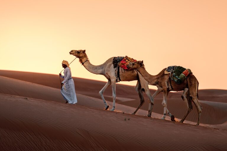 På kanten av Afrika