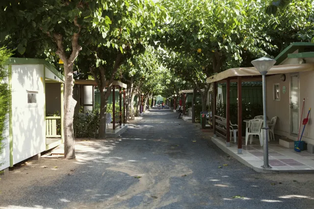 Bilder från hotellet Camping Platja Cambrils - nummer 1 av 93