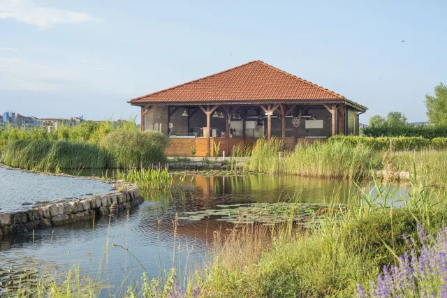 Bilder från hotellet Sunrise All Suites Resort - nummer 1 av 10