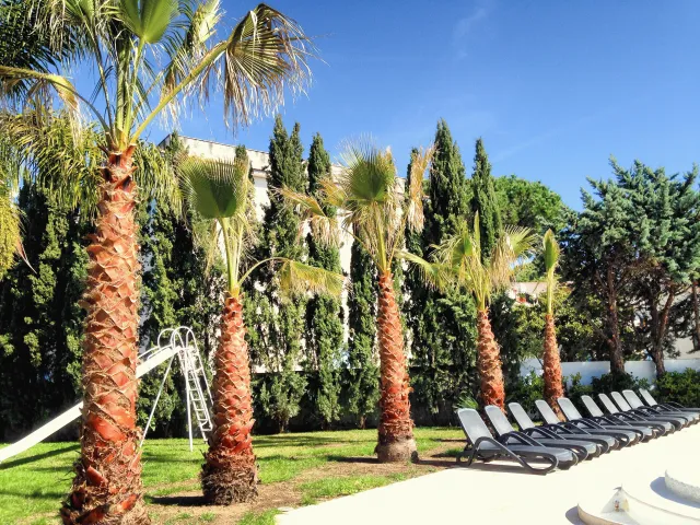 Bilder från hotellet Le Palme - nummer 1 av 24