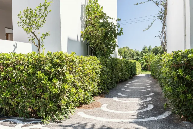 Bilder från hotellet Absolute Kiotari Resort - nummer 1 av 19