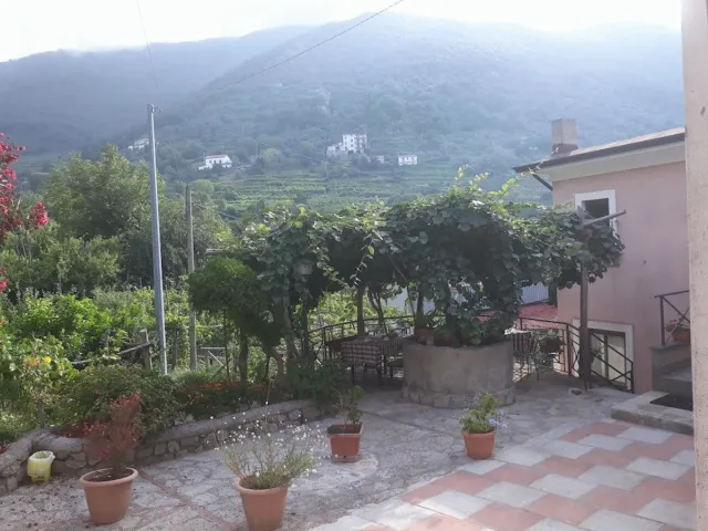 Bilder från hotellet Agriturismo Mare e Monti - nummer 1 av 10