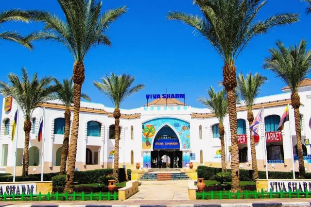 Bilder från hotellet Viva Sharm Hotel - nummer 1 av 11