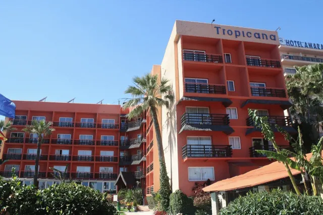 Bilder från hotellet MS Tropicana Hotel - nummer 1 av 19