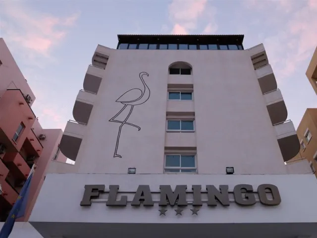 Bilder från hotellet Flamingo Beach Hotel - nummer 1 av 18