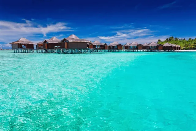 Bilder från hotellet Anantara Veli Maldives Resort - nummer 1 av 23