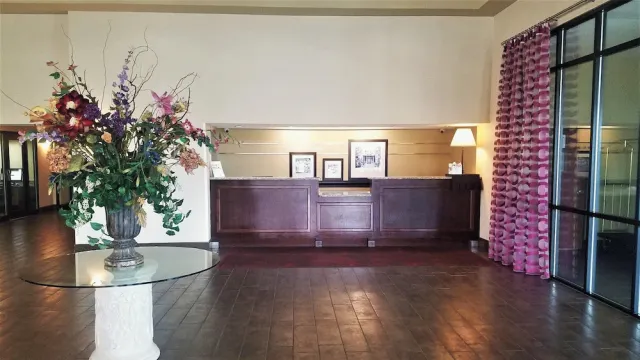 Bilder från hotellet Orlando Palms Hotel - nummer 1 av 20