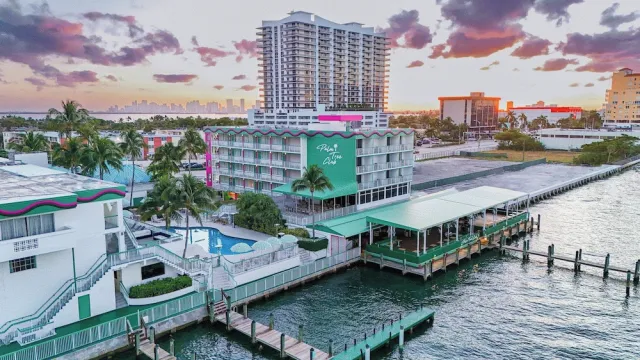 Bilder från hotellet Palm Tree Club Miami Hotel - nummer 1 av 100