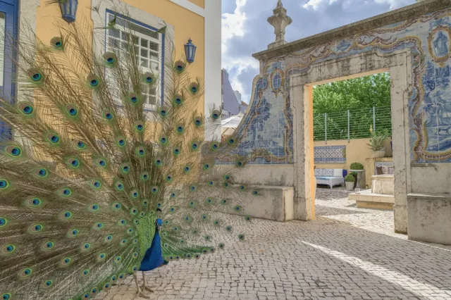 Bilder från hotellet Solar Do Castelo, a Lisbon Heritage Collection - nummer 1 av 53
