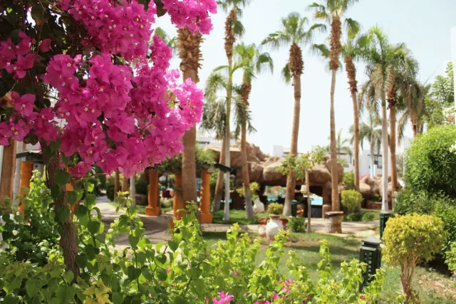 Bilder från hotellet Herrmes Hospitality - nummer 1 av 22