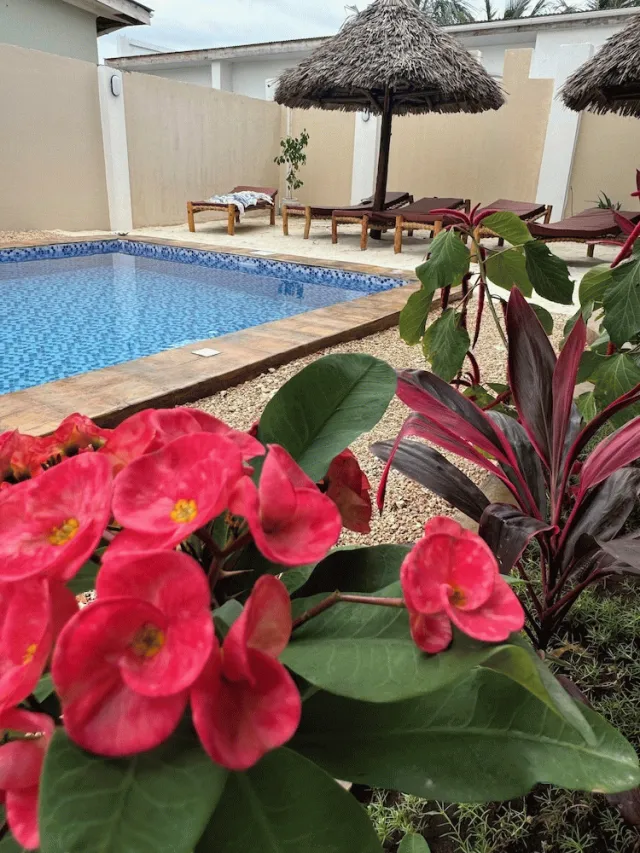 Bilder från hotellet VILLA PEACE AND COLOR - nummer 1 av 52