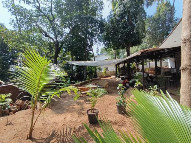 Bilder från hotellet Jangala Resort - nummer 1 av 67