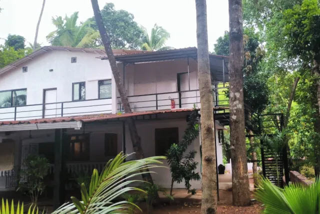 Bilder från hotellet Jangala Resort - nummer 1 av 10