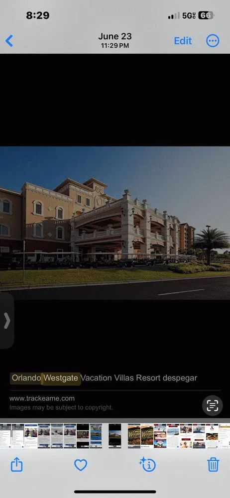 Bilder från hotellet Westgate Vacation Villas Resort - nummer 1 av 8