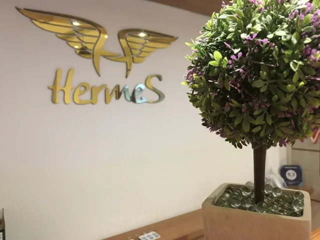 Bilder från hotellet Hotel Hermes - nummer 1 av 22
