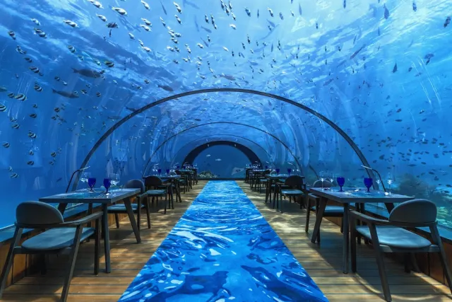 Bilder från hotellet Hurawalhi Island Resort - nummer 1 av 80
