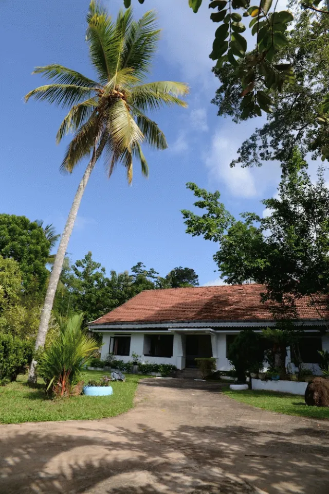 Bilder från hotellet Maggie Garden Hostel - nummer 1 av 10