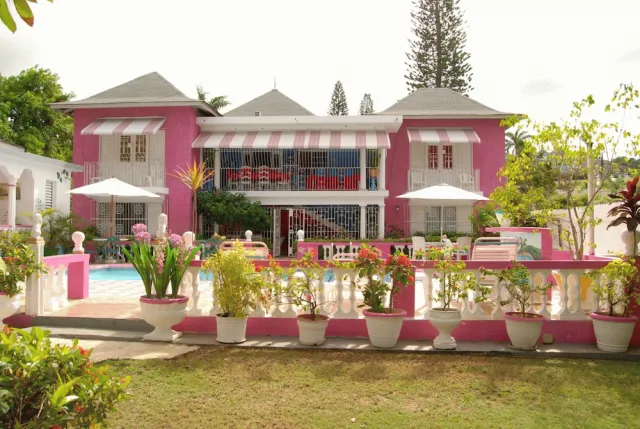 Bilder från hotellet PinkHibiscus Guest House - nummer 1 av 52