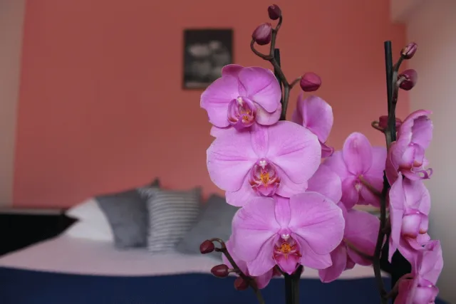 Bilder från hotellet Albergo Residence Pucara - nummer 1 av 29
