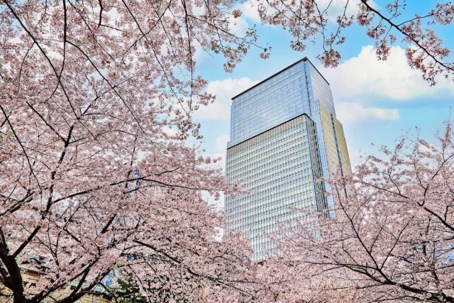 Bilder från hotellet Mandarin Oriental, Tokyo - nummer 1 av 100