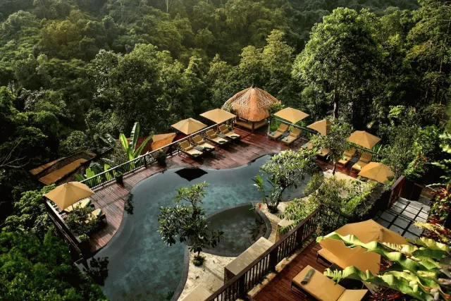 Bilder från hotellet Nandini Jungle by Hanging Gardens - nummer 1 av 94