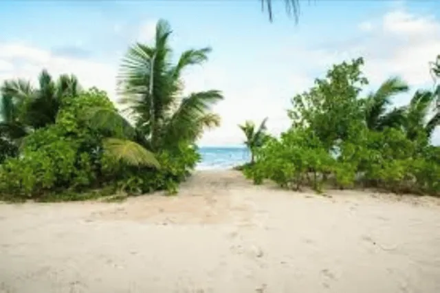 Bilder från hotellet Seashell Beach Villa - nummer 1 av 40