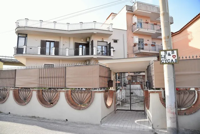 Bilder från hotellet B&B Le Cycas - nummer 1 av 82