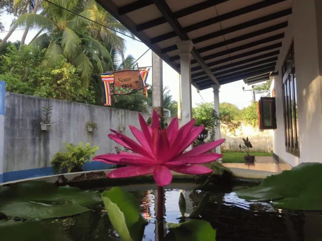 Bilder från hotellet senu villa - nummer 1 av 10