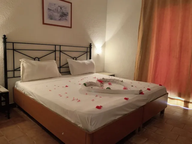 Bilder från hotellet Sol Palmeras Beach - Family Hotel - nummer 1 av 10