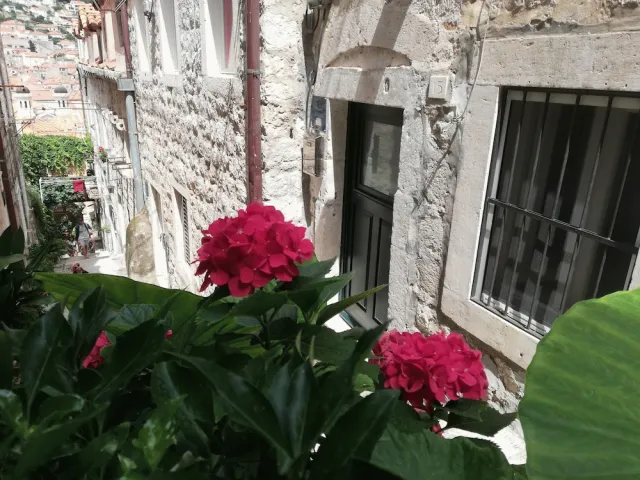 Bilder från hotellet Apartment Dubrovnik-Center - nummer 1 av 23
