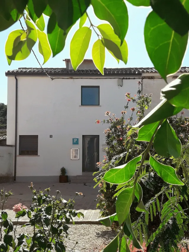 Bilder från hotellet Pension Matarrana - nummer 1 av 24