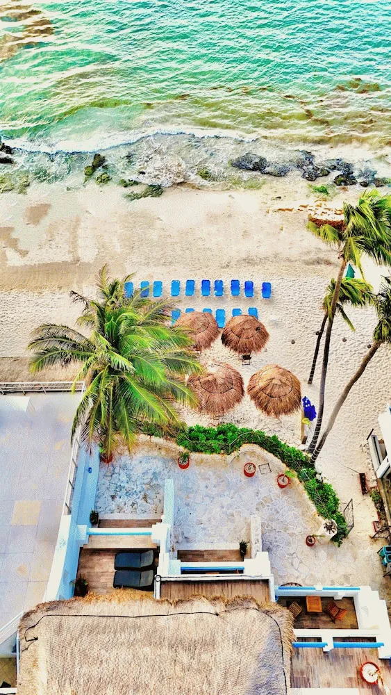 Bilder från hotellet Pelicano Inn Playa del Carmen - Beachfront Hotel - nummer 1 av 75