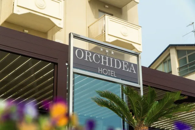 Bilder från hotellet Hotel Orchidea - nummer 1 av 71