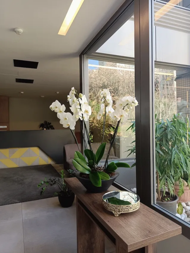Bilder från hotellet Shade Suites and Studios - nummer 1 av 53