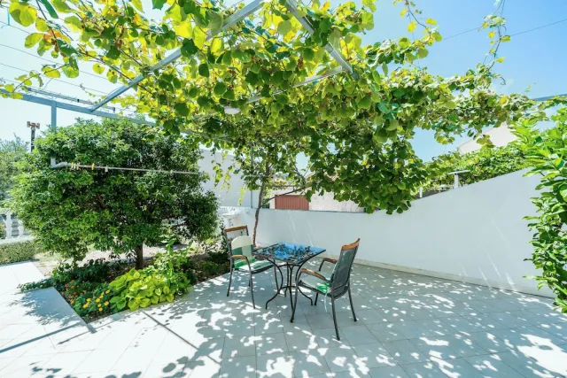 Bilder från hotellet Villa Marija Adriatic - nummer 1 av 99