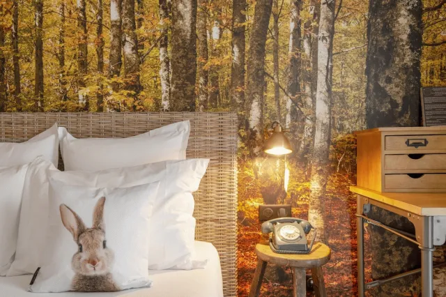 Bilder från hotellet La Maison Hotel Mulhouse - nummer 1 av 100