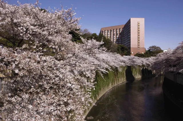 Bilder från hotellet Hotel Chinzanso Tokyo - nummer 1 av 100