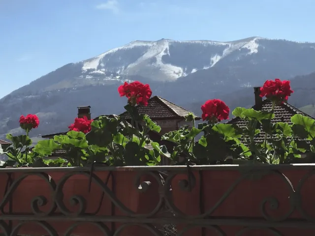 Bilder från hotellet Villa San Fedele - nummer 1 av 42