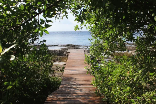 Bilder från hotellet Cozumel Condo #A2 - nummer 1 av 18