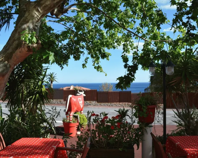 Bilder från hotellet Le Patio - nummer 1 av 63