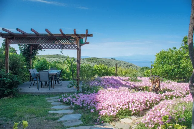 Bilder från hotellet Mikros Paradisos Pelion - nummer 1 av 44