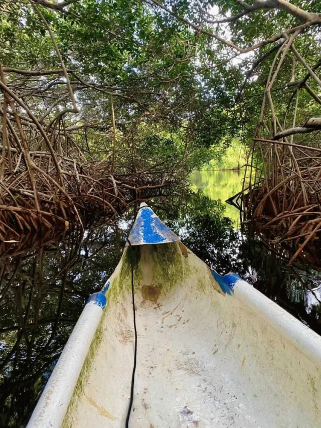 Bilder från hotellet Eco Hotel bosque encantado - nummer 1 av 22
