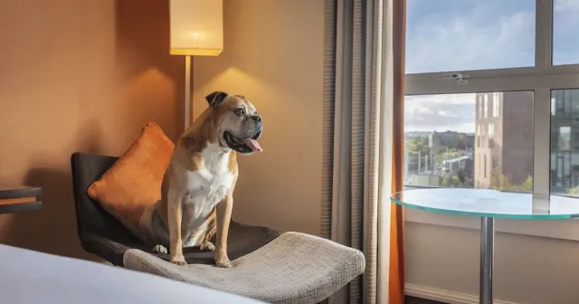 Bilder från hotellet Hilton Dublin - nummer 1 av 10