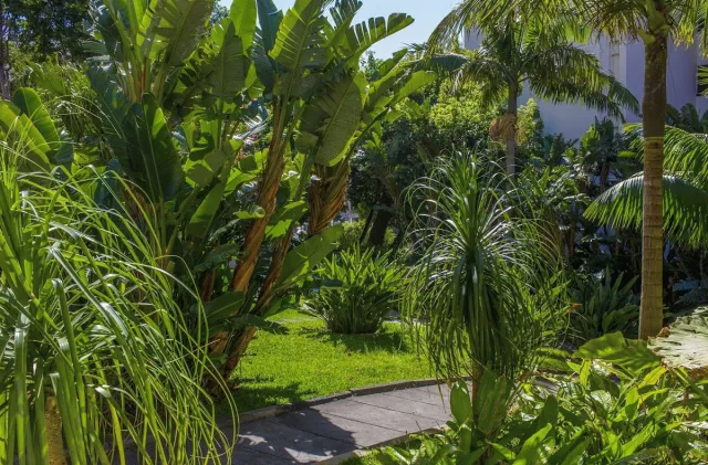 Bilder från hotellet Dorisol Buganvilia Hotel - nummer 1 av 10