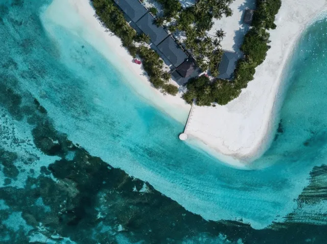 Bilder från hotellet Pearl Sands of Maldives - nummer 1 av 5