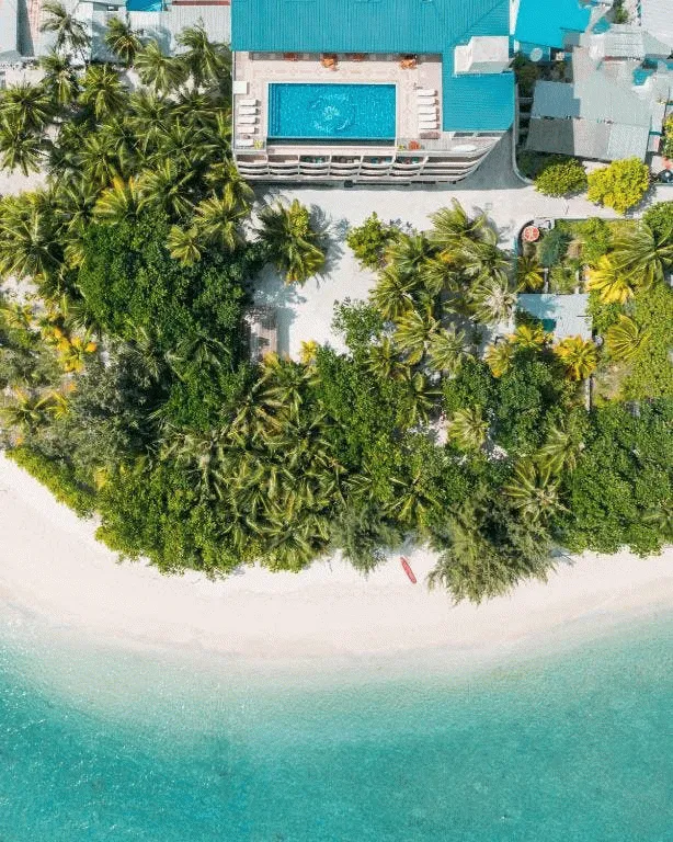 Bilder från hotellet Season Paradise - nummer 1 av 7